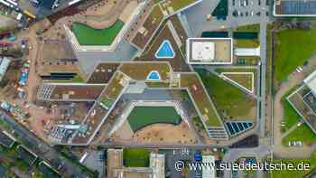 Essen: Der wundersame Wandel von Aldi Nord - Wirtschaft - Süddeutsche Zeitung - SZ.de