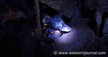 Dog Falls into Volcanic Fissure, Gets Stranded for Two Days: Local Adventurer Risks Life to Save Her