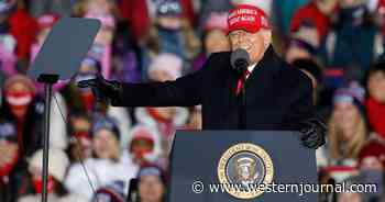 Video: Trump's Bold Prediction from 2020 Comes True as Americans Live the Reality of Biden's America