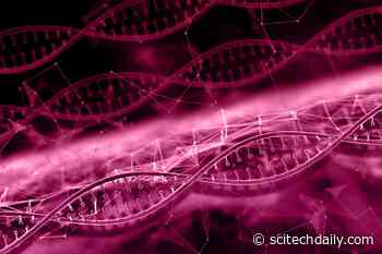 Scientists Discover How Certain Genetic Diseases Are Transmitted From Mother to Child