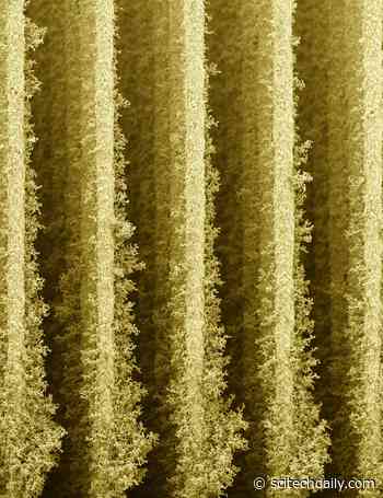 3D-Printed “Nano-Skyscrapers” Help Bacteria Convert Sunlight Into Electricity