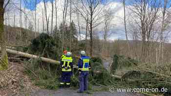 Sturmtief Zeynep wütete vor allen Dingen in Balve und Werdohl. Hier musste die Feuerwehr etliche Einsätze able - come-on.de