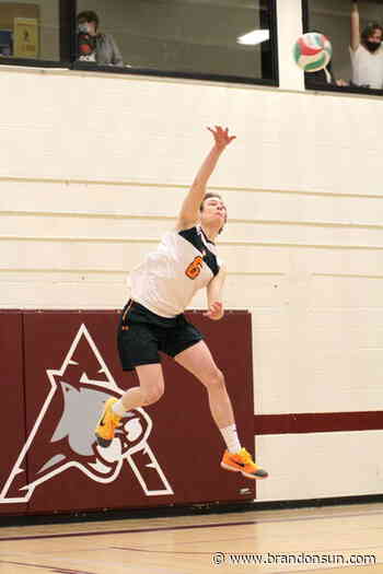 Former Vikings Werbiski, Carmichael defend MCAC title - The Brandon Sun