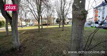 Bischofsheim: Eher kleiner Park als beliebter Treffpunkt - Echo Online