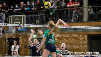 1:3! Grimmas Volleyballerinnen verlieren in Dresden - Sportbuzzer