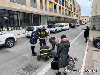 Foligno, oca s'incastra nelle fogne: al lavoro per salvarla - Rgunotizie.it