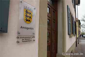 Prozesse um verbotene Corona-Demos am Amtsgericht Balingen: Nur Zuschauer oder Teilnehmer? - Zollern-Alb-Kurier