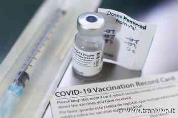 Covid, nell'Asl Bat il 61% della popolazione ha completato il ciclo vaccinale - TraniViva