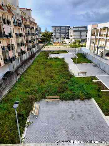 Trani, la denuncia di Laurora: «In via Grecia è tutto fermo e paga solo il Comune» - ilgiornaleditrani - Radio Bombo