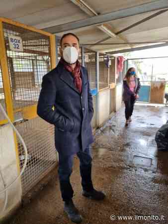 Santa Maria Capua Vetere, Aveta: «Risposte insoddisfacenti su ospedale, ambiente, sviluppo commerciale e turismo» - ILMONITO