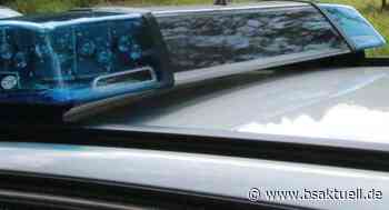 Neu-Ulm: Mehrere Außenspiegel abgetreten - BSAktuell