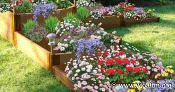 5th grader creating memorial garden to honor lives lost in Dawson Springs tornado - WKU Public Radio