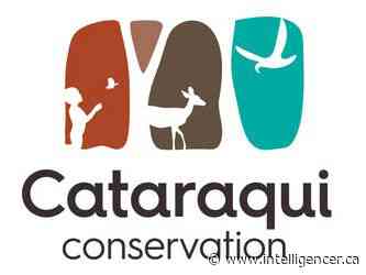 Cataraqui Conservation warns of possible Millhaven Creek flooding - Belleville Intelligencer
