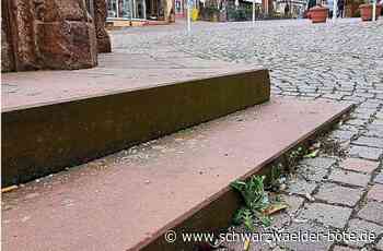 Pflanzen in Calw: So geht es Unkraut an den Kragen