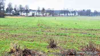 Pläne für Stockumer Bruch in Witten liegen bald aus - WAZ News