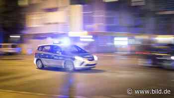 Hubschrauber im Einsatz bei Heidelberg: Suche nach vermisster Laura (10) - BILD