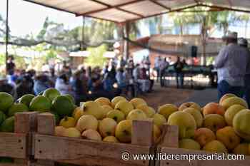Productores de Calvillo se suman a la reconversión productiva - - Líder Empresarial