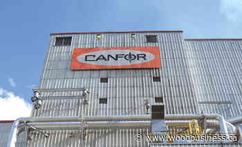 Canfor to sell Mackenzie forest tenure and sawmill assets for $70M - Wood Business - Canadian Forest Industries