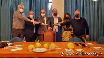 Solofra a Procida 2022 con Itinerari da Fiaba - AvellinoToday