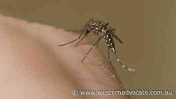 Encephalitis warning as Aust cases rise - Western Advocate