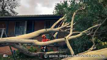 SES crews kept busy after wet, stormy weather in Bathurst - Western Advocate