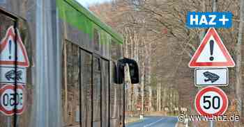 Sehnde: Krötenwanderung - Straßensperrung und niedrigeres Tempolimit - HAZ