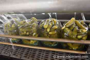 Central Florida Teacher Charged for Allegedly Biting Students Over Jar of Pickles