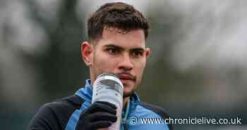 The Bruno Guimaraes plan Howe will be forced to abandon amid Newcastle's 'luxury player' defence - Chronicle Live