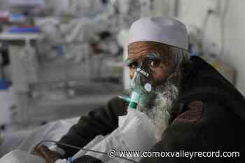 Death toll nears 6 million as pandemic enters its 3rd year - Comox Valley Record