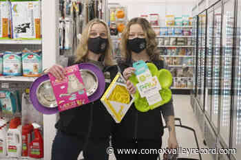 New puppy or kitten? Here are the essentials - Comox Valley Record