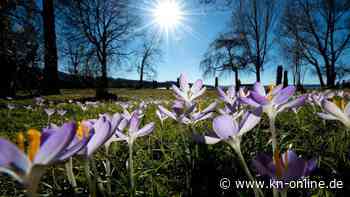 Frühlingshafte Woche in Deutschland - fast überall bis zu elf Sonnenstunden