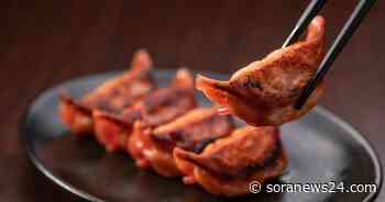 Carp Gyoza dumplings coming to Hiroshima supermarkets, probably contain no actual carp - SoraNews24