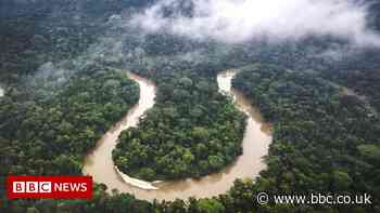 Amazon rainforest reaching tipping point, researchers say