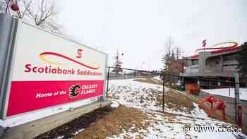 City council to discuss next steps in Calgary's arena saga