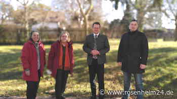 Zwei erfolgreiche Kiebitzbruten im Willinger Weitmoos