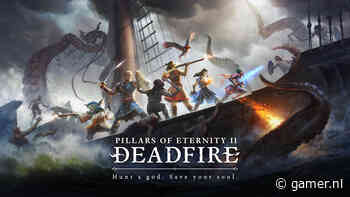 Pillars of Eternity 2: Deadfire komt niet meer naar Nintendo Switch | Nieuws - Gamer.nl
