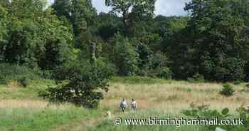 Café plan for Sutton Coldfield park rejected but landowners confirm new proposal - Birmingham Live