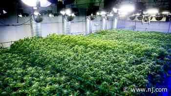 Investors claim ‘looting’ at N.J. medical marijuana dispensary, sue to have independent manager run it - NJ.com
