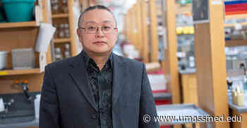Gang Han elected to American Institute for Medical and Biological Engineering College of Fellows - UMass Medical School