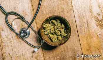 Financial assistance program expanded for Pa. medical marijuana patients - TribLIVE