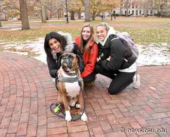 Ohio State Wexner Medical Center's Buckeye Paws program expanding to university - The Ohio State University News