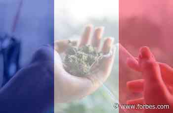 France Enters The Medical Cannabis Industry - Forbes