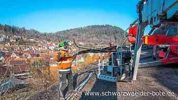 Hermann-Hesse-Bahn: 3400 Quadratmeter Stahlnetz sichern Felsengalerie in Calw