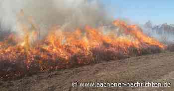 Flammender Landschaftsschutz: Feuerwalze in der Drover Heide dient deren Erhalt - Aachener Nachrichten