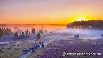 Lüneburger Heide entdecken – bei magischer Sonnenaufgangstour - Hamburger Abendblatt