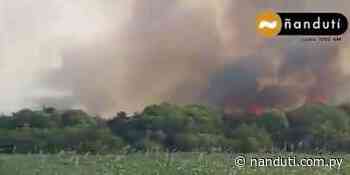 Incendio en zona boscosa de Edelira: Bomberos están trabajando desde ayer para controlar el fuego - Radio Ñanduti