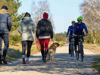 Lüneburger Heide: Polizei kontrolliert Leinenpflicht während Lammzeit - TAGEBLATT: Nachrichten aus Stade, Buxtehude und der Region - Stader Tageblatt - Tageblatt-online