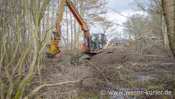 Gehölz weicht für mehr Artenvielfalt - WESER-KURIER