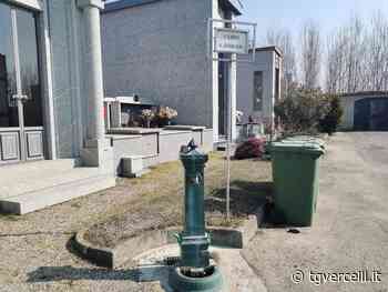 Quella fontanella del cimitero pericolosa perché invasa dalle api - tgvercelli.it