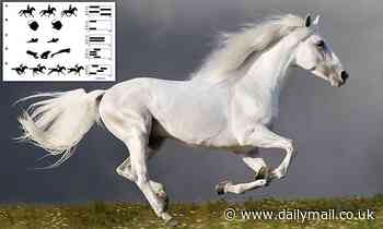 Animals evolved the ability to GALLOP 472 million years ago, study claims 